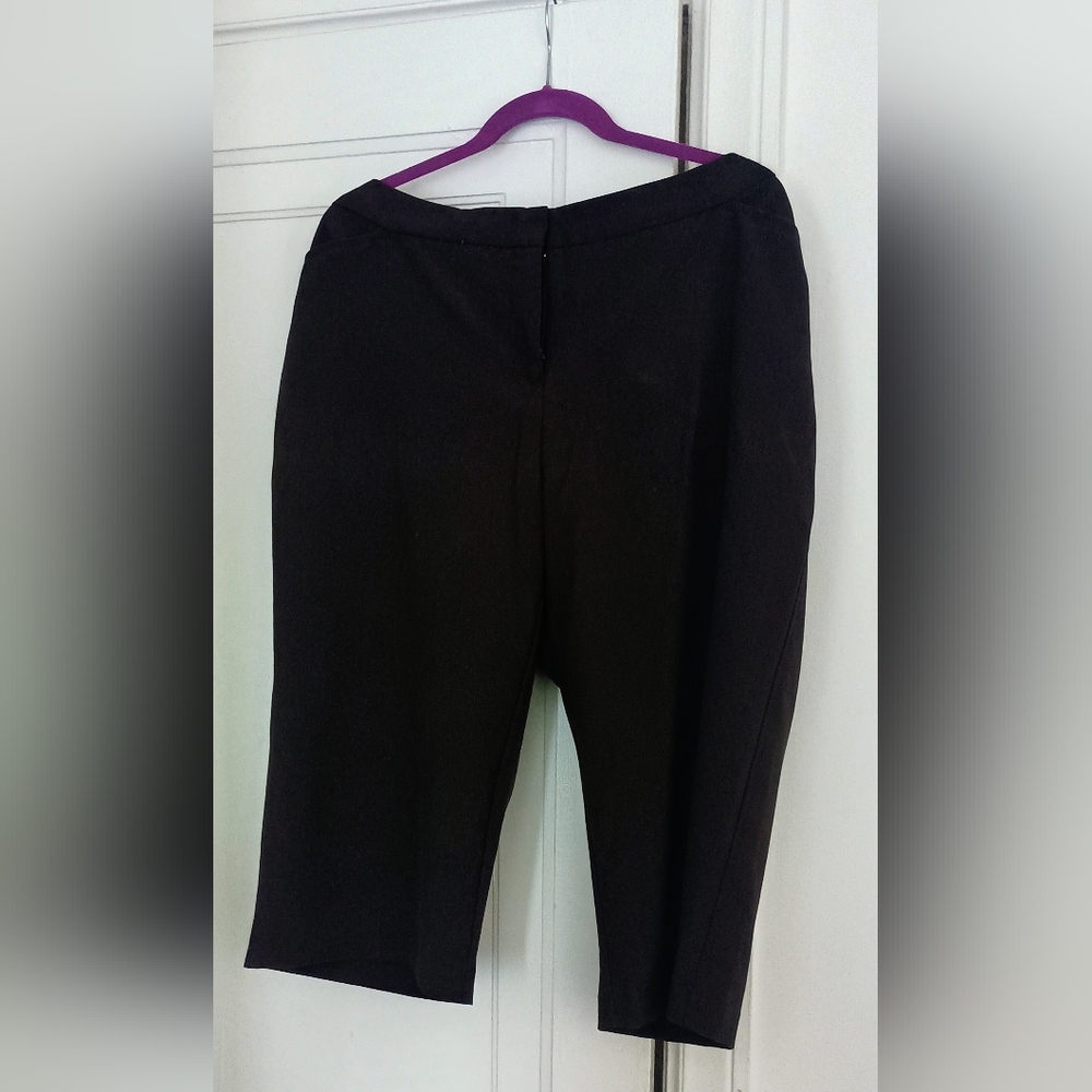 Worthington Elegant Brown Women's Trousers
